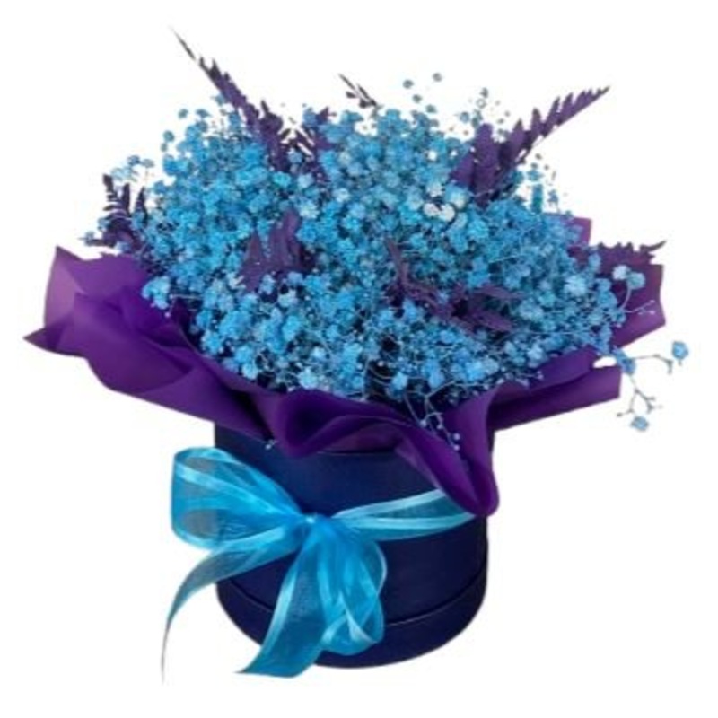 Turquoise Gypsophila with Purple Leaves Box