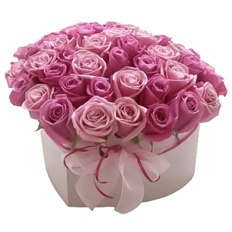 Two Shades of Pink Box-Extra Small (10 stems) & Small (20 stems) & Regular (30 stems) & Large (40 stems) & Extra Large (50 stems) & Luxury ( 65 stems) & Glamour ( 80 stems) & Exclusive Glamour (100 stems) & Premium (120 stems) & Premium Extra (160 stems)