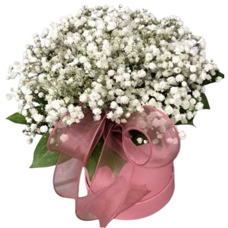 White Gypsophila Box-Extra Small (10 stems) & Small (15 stems) & Medium (20 stems) & Regular (25 stems) & Large (30 stems) & Extra Large (40 stems) & Luxury (55 stems) & Glamour (70 stems) & Exclusive Glamour (100 stems) & Premium (150 stems) & Premium Ex