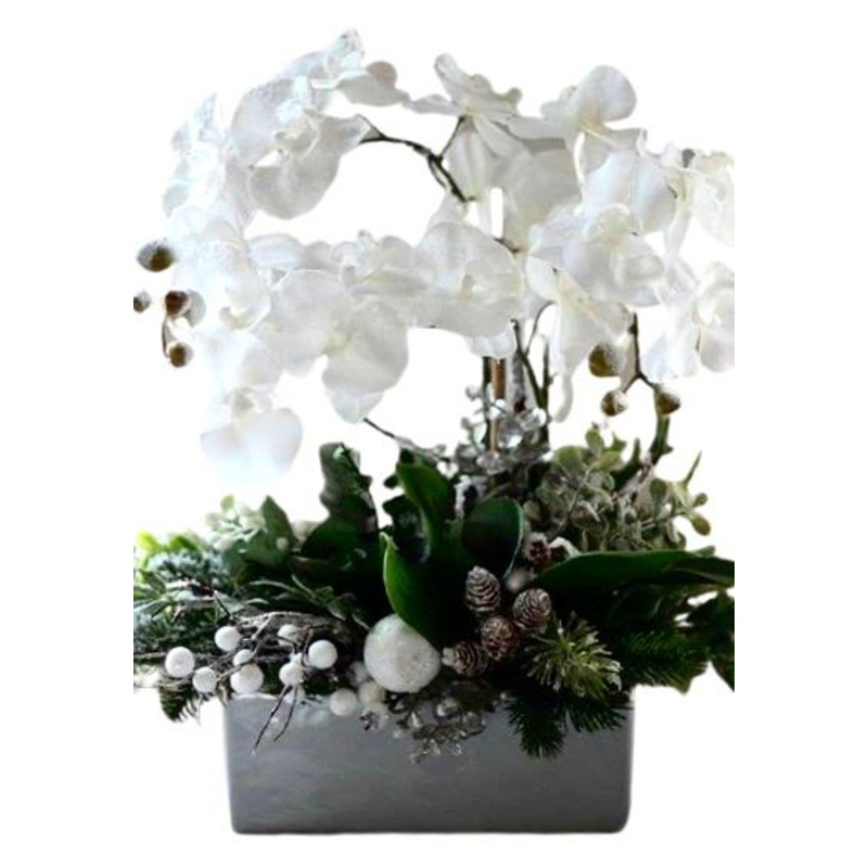 Winter Phaleonopsis Orchids Arrangement