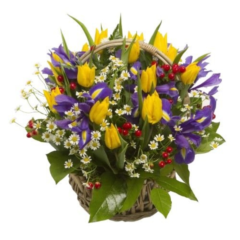 Yellow and Purple Basket-Regular (30 stems) & Standard (35 stems) & Medium (45 stems) & Large (55 stems) & Extra Large (65 stems) & Luuxry (85 stems) & Glamour (100 stems) & Exclusive Glamour (120 stems) & Premium (140 stems) & Posh (160 stems) & Deluxe (