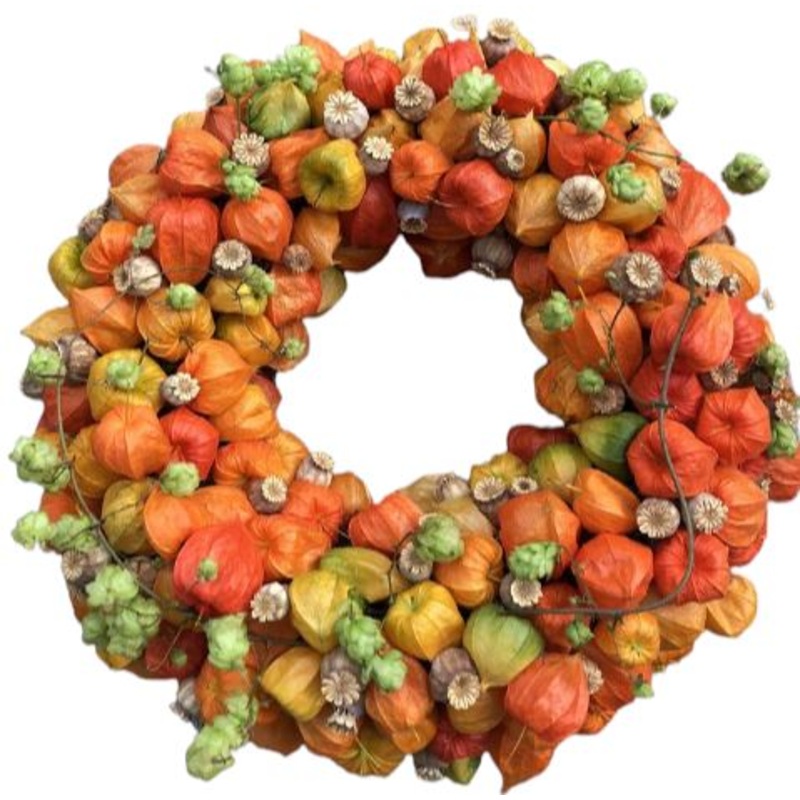 Beautiful Physalis Autumn Door Wreath