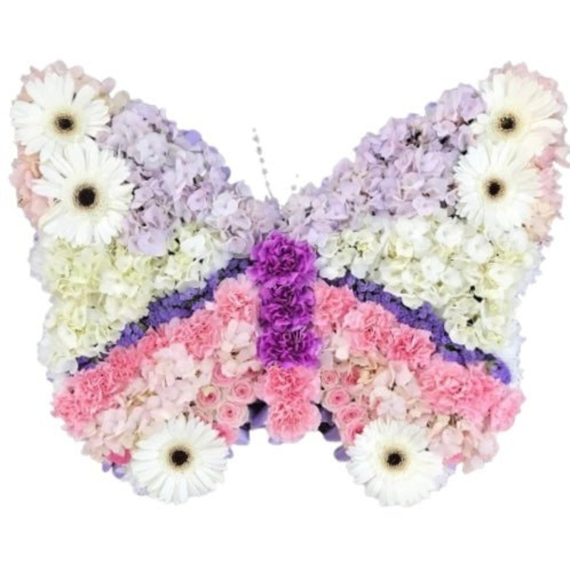 Pastel Shades Butterfly