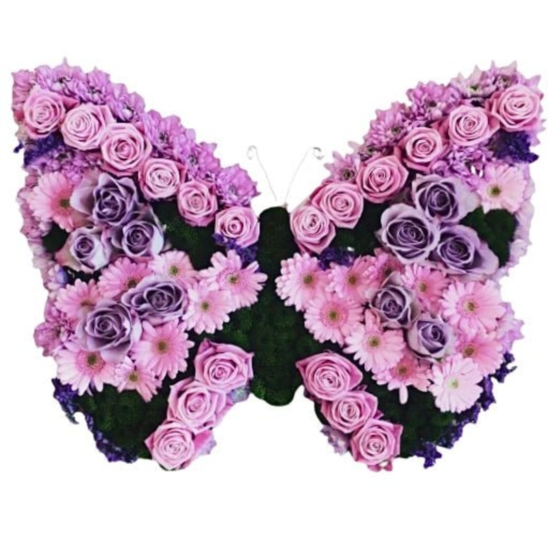 Pink and Purple Butterfly
