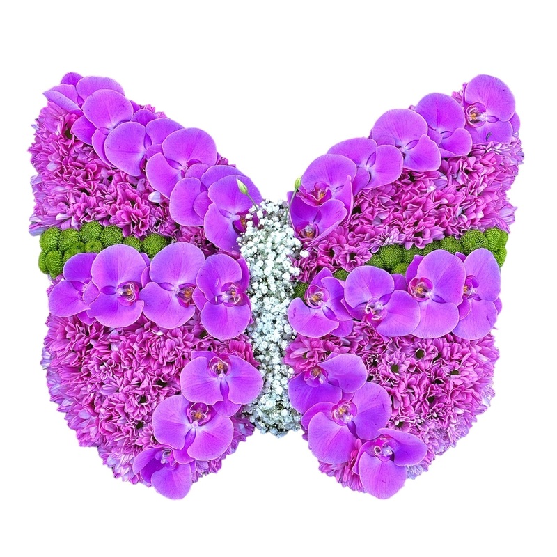 Pink Orchids Butterfly