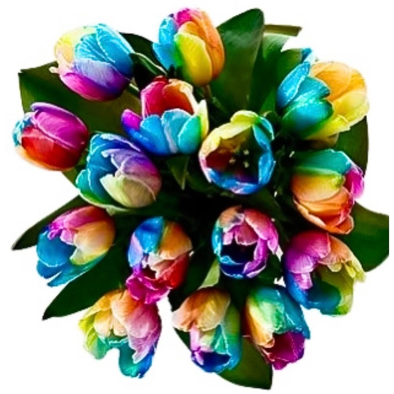 Rainbow Tulips Bouquet-Standard (25 stems) & Regular (30 stems) & Medium (35 stems) & Large (40 stems) & Extra Large (50 stems) & Luxury (60 stems) & Luxury Plus (70 stems) & Glamour (80 stems) & Exclusive (90 stems) & Exclusive Glamour (100 stems)