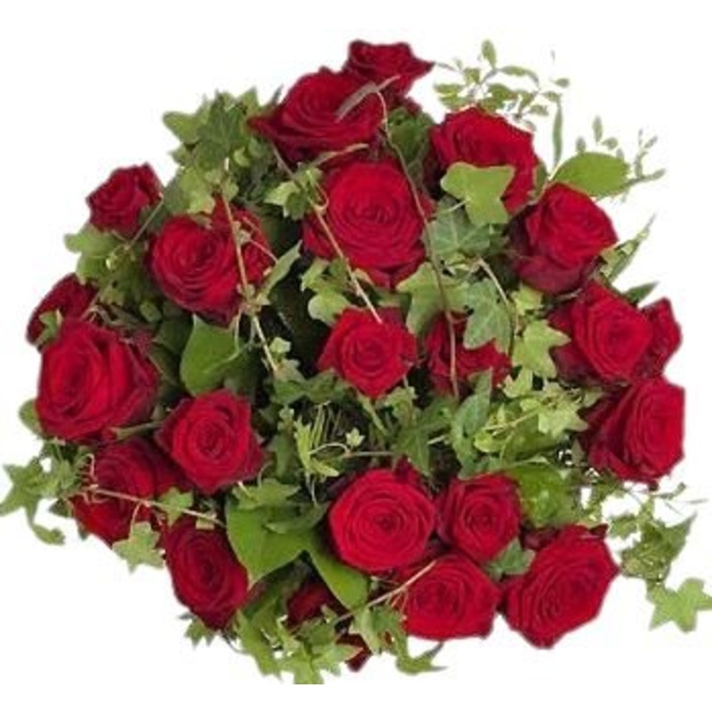 Roses and English Ivy Bouquet-10 stems & 12 stems & 15 stems & 20 stems & 24 stems & 30 stems & 36 stems & 40 stems & 48 stems & 50 stems & 55 stems & 60 stems & 65 stems & 70 stems & 75 stems & 80 stems & 85 stems & 90 stems & 95 stems & 100 stems & 120