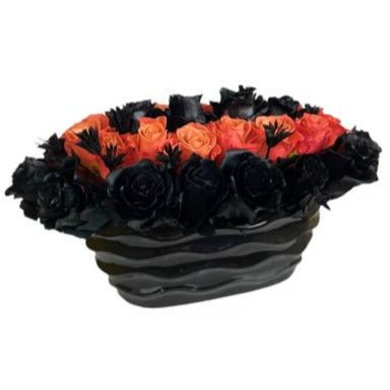 Black and Orange Roses in Pot-Small (20 stems) & Standard (25 stems) & Regular (30 stems) & Large (35 stems) & Extra Large (40 stems) & Luxury (50 stems) & Glamour (60 stems) & Exclusive Glamour (70 stems) & Premium (85 stems) & Posh (100 stems)