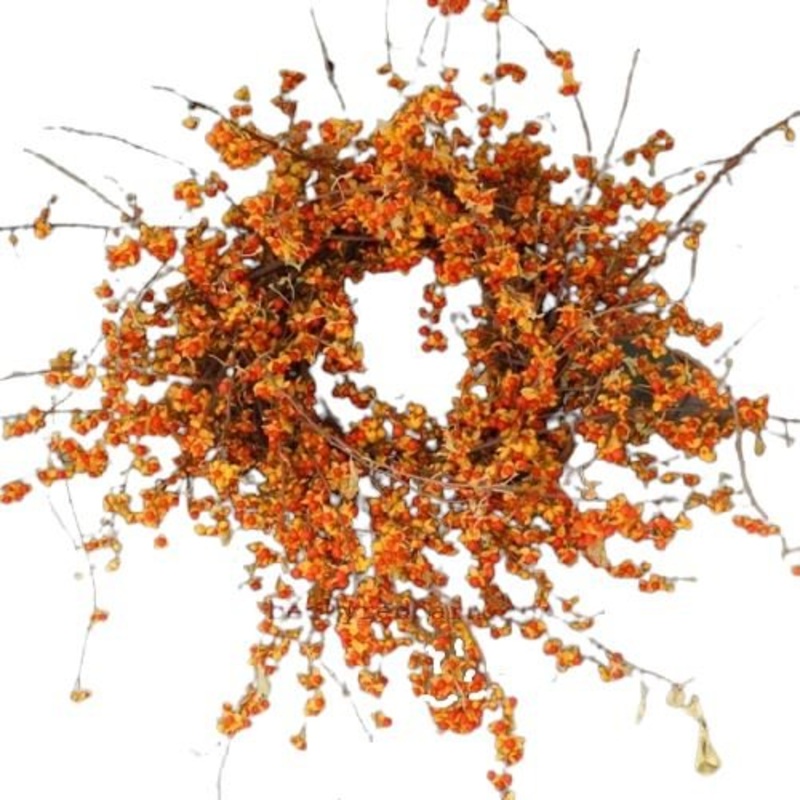 Celastrus Autumn Door Wreath-36cm  (14 inch) & 42cm (16 inch) & 51cm (20 inch) & 54cm (22 inch)