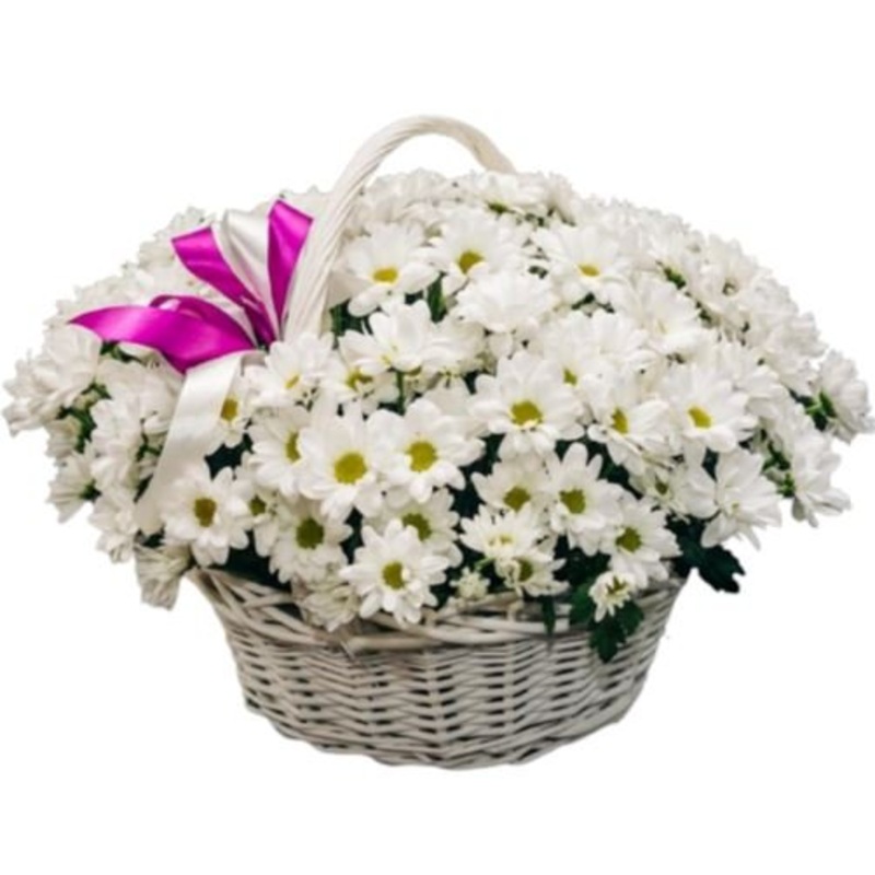 Daisy Chrysanthemum in the Basket