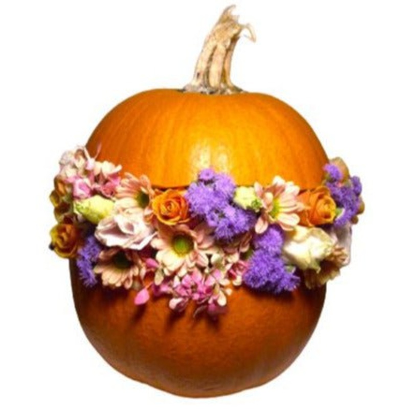 Elegant Pretty Pumpkin