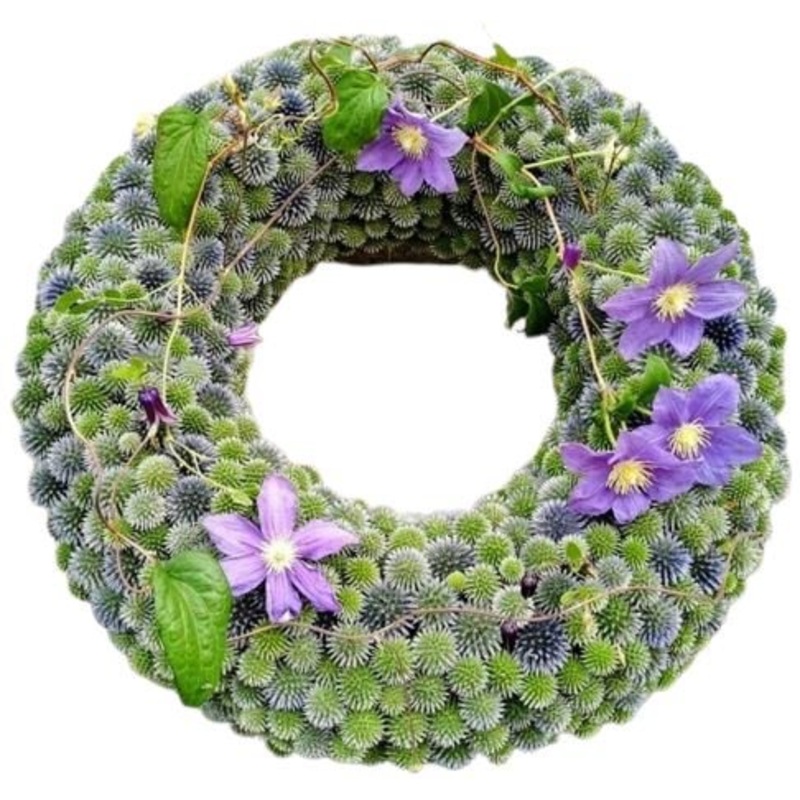 Eryngium Autumn Door Wreath-36cm  (14 inch) & 42cm (16 inch)