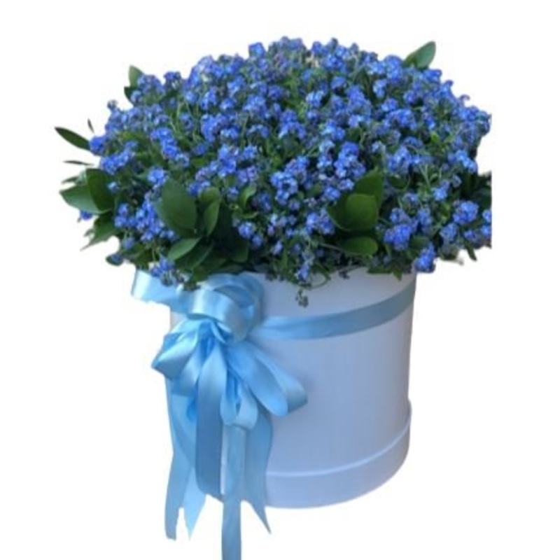 Forgot me Not Flowers in Box-Extra Small (20 stems) & Small (30 stems) & Large (40 stems) & Extra Large (50 stems) & Luxury (70 stems) & Luxury Extra ( 80 stems) & Glamour (100 stems) & Exclusive Glamour (120 stems) & Premium (140 stems) & Premium Extra (