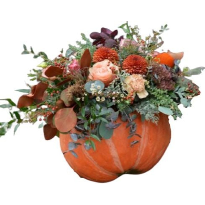 Halloween Vintage Pumpkin