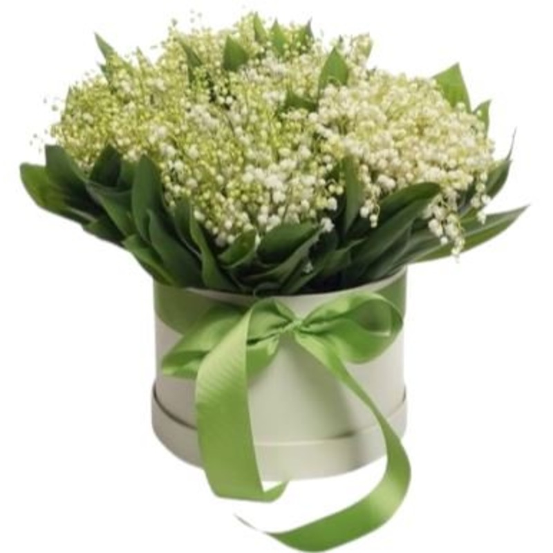 Lily of Valley in Box-Extra Small (20 stems) & Small (30 stems) & Regular (40 stems) & Large  (50 stems) & Extra Large (70 stems) & Luxury (90 stems) & Luxury Extra (120 stems) & Glamour (150 stems) & Exclusive Glamour (180 stems) & Posh (200 stems)-Hat B