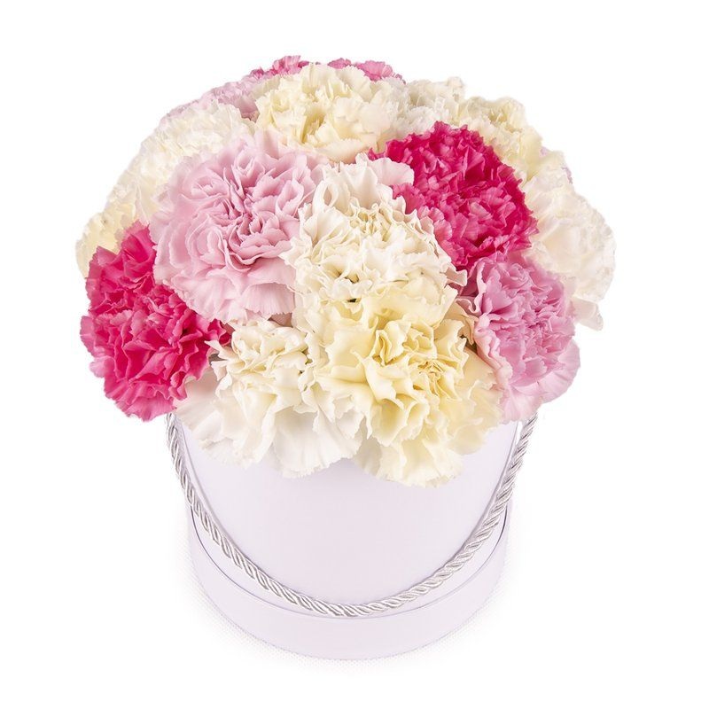 Pastel Carnations Box-Extra Small (20 stems) & Small (25 stems) & Large (30 stems) & Extra Large (40 stems) & Luxury (60 stems) & Glamour (80 stems) & Exclusive Glamour (100 stems) & Premium (120 stems) & Premium extra (140 stems) & Posh (180 stems)-PINK