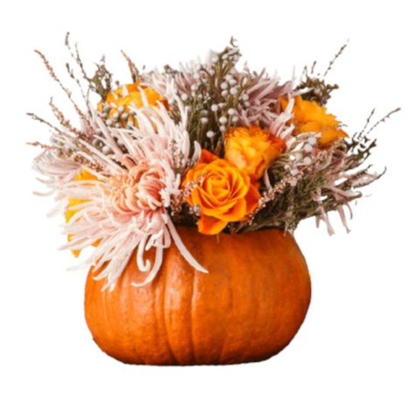 Pumpkin Orange Arrangement