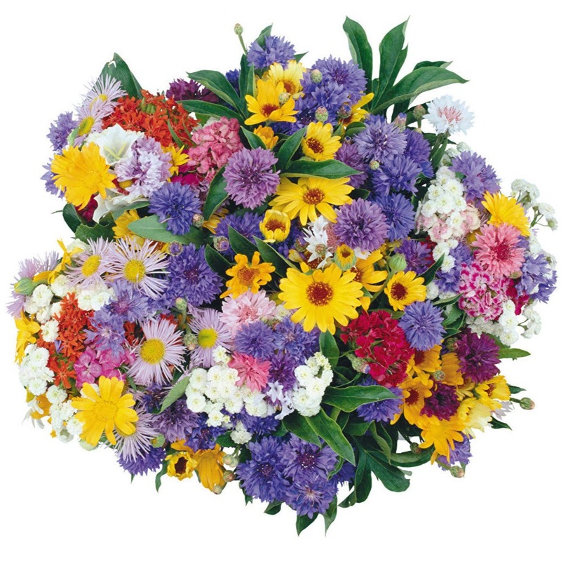 Rainbow Bouquet with Cornflowers