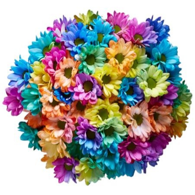 Rainbow Chrysanthemum Bouquet-Extra Small (5 stems) & Small (10 stems) & Regular (15 stems) & Standard (20 stems) & Standard Plus (25 stems) & Medium (30 stems) & Large (40 stems) & Extra Large (55 stems) & Luxury (70 stems) & Glamour (80 stems) & Luxury