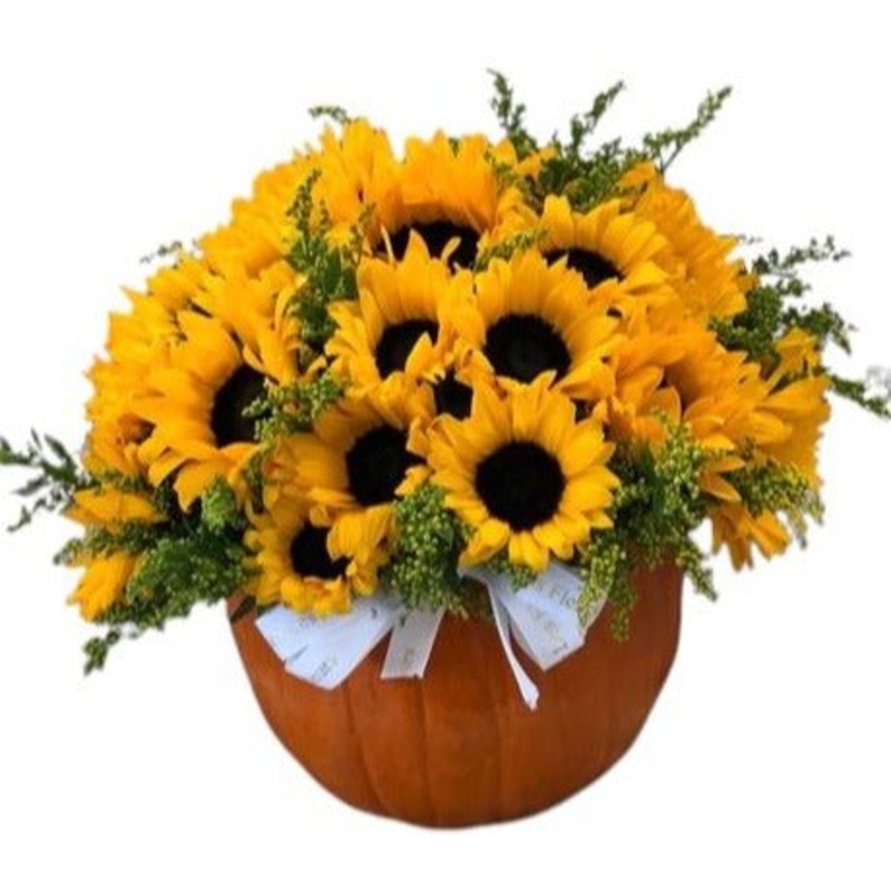 Sunflowers Halloween Pumpkin-Small ( 5 stems) & Medium ( 10 stems) & Large (15 stems) & Extra Large (20 stems) & Luxury (25 stems)