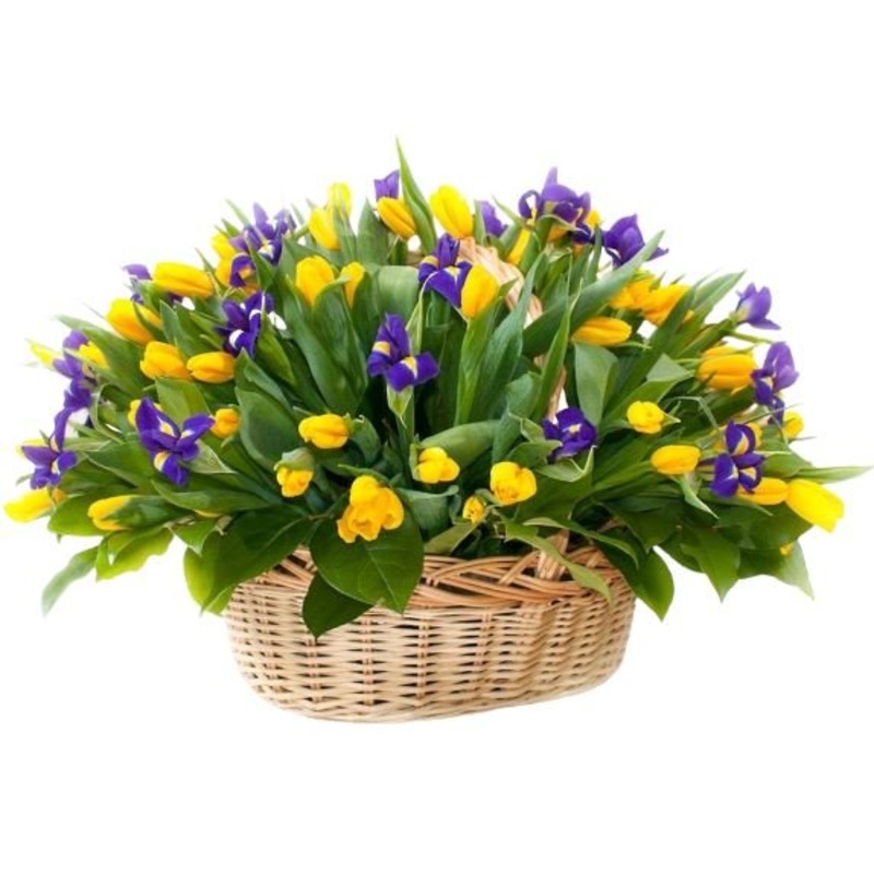 Tulips and Iris Basket-Medium (25 stems) & Large (35 stems) & Extra Large (45 stems) & Luxury (55 stems) & Glamour (65 stems) & Exclusive Glamour (80 stems) & Premium (100 stems) & Premium Extra (120 stems) & Posh (140 stems) & Deluxe (160 stems) & Deluxe