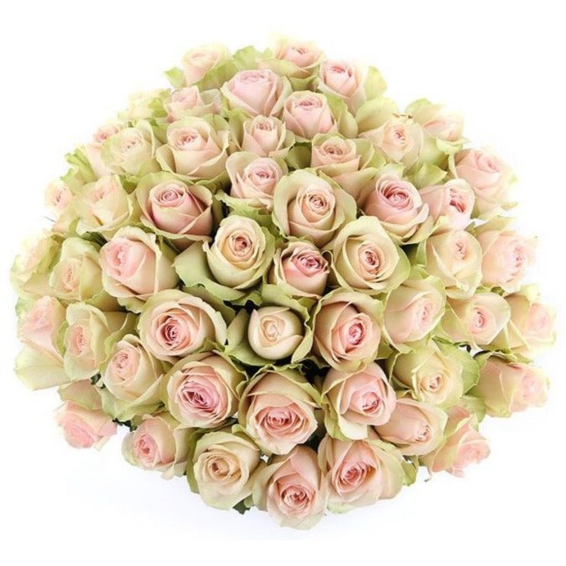Unique Light Pink Roses Bouquet