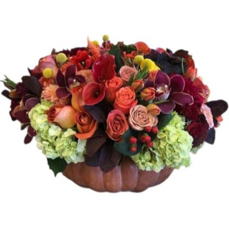 Admirable Burgundy Pumpkin Arrangement