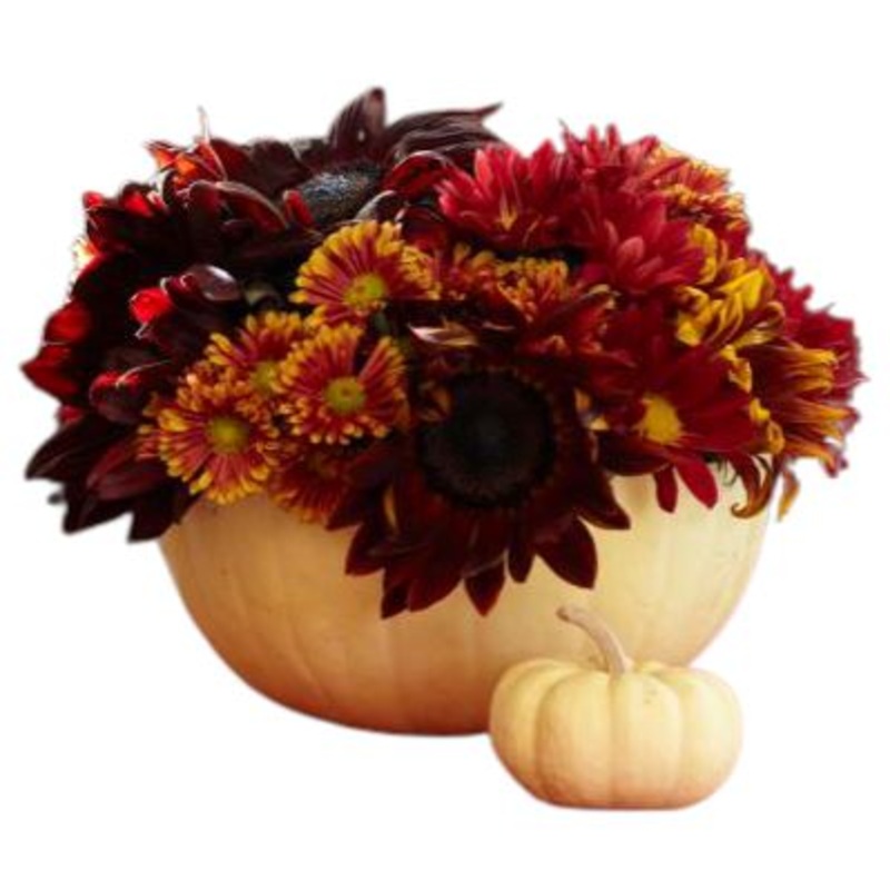 Darkness  Pumpkin Arrangement