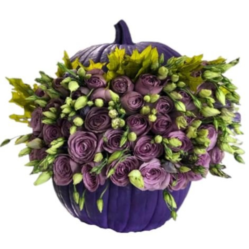 Lavender Roses in Purple Pumpkin