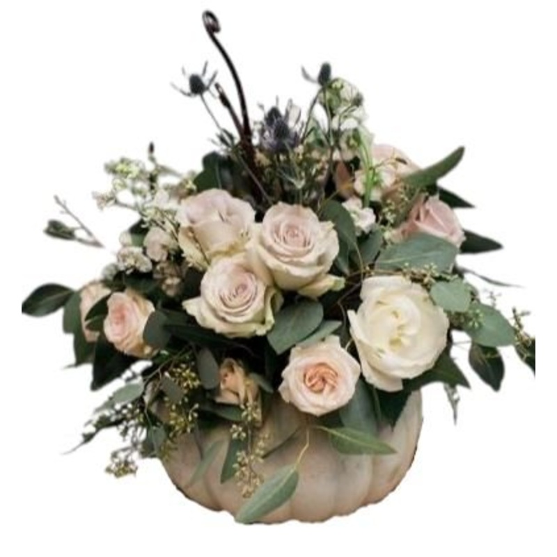 Pastel Roses Pumpkin