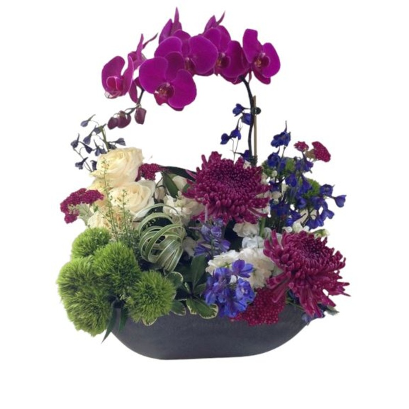 Vibrant Phalenopsis Orchids and Flowers Pot Arrangement