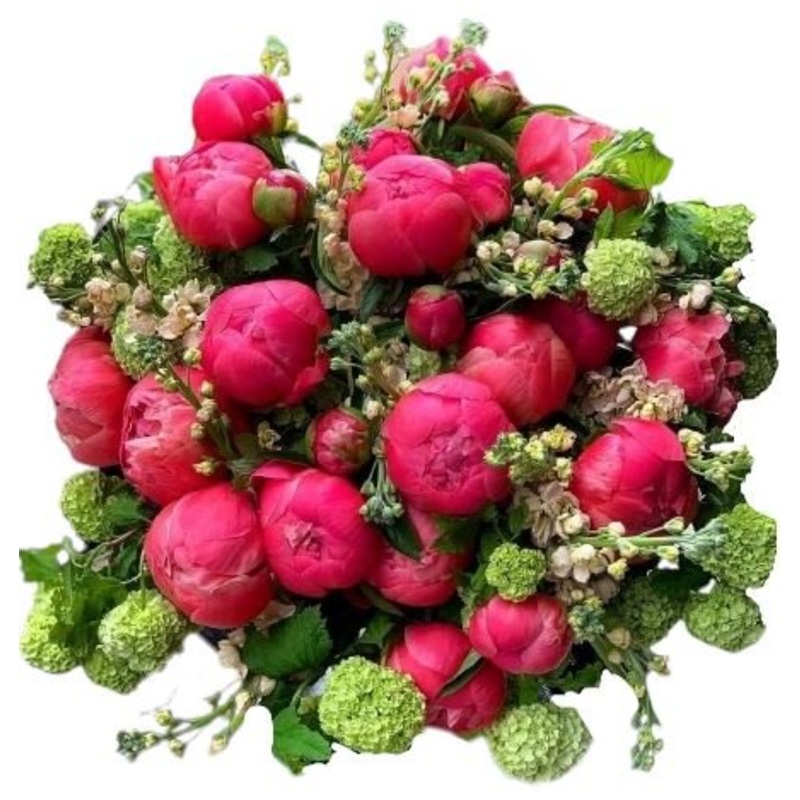 Amazing Coral Peony in Green Bouquet