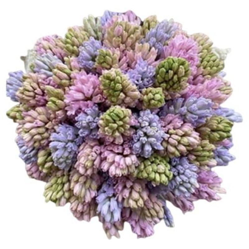 Amazing Pastel Hyacinth Bouquet