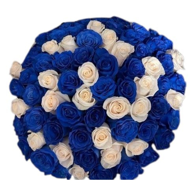 Blue and White Roses Bouquet-20 stems & 30 stems & 40 stems & 50 stems & 60 stems & 70 stems & 80 stems & 90 stems & 100 stems & 120 stems & 150 stems & 180 stems & 200 stems