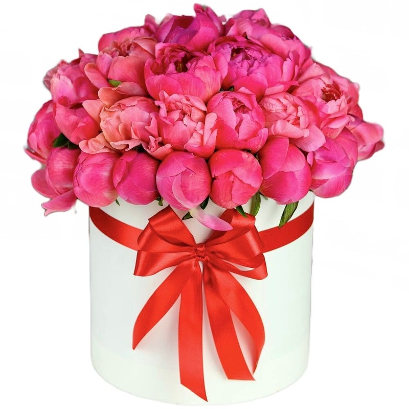 Coral Peonies Box-Extra Small (10 stems) & Small (14 stems) & Regular (20 stems) & Large  (24 stems) & Extra Large (30 stems) & Luxury (35 stems) & Luxury Extra (50 stems) & Glamour (75 stems) & Exclusive Glamour (100 stems) & Premium (120 stems) & Premiu