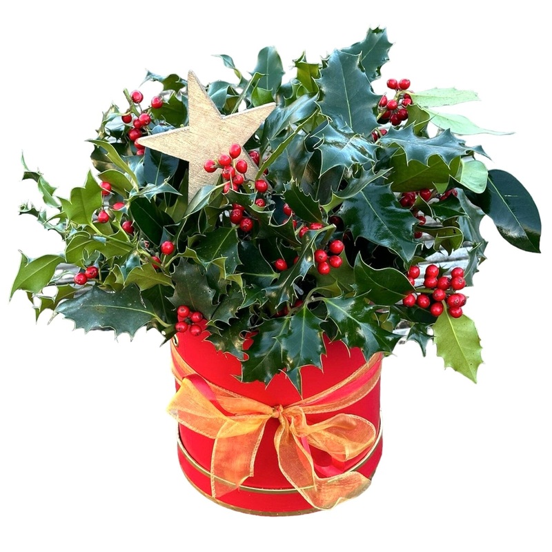 Festive Classic Holly Box-Extra Small (10 stems) & Small (15 stems) & Regular (20 stems) & Medium (30 stems) & Luxury (35 stems) & Glamour (50 stems)-Red Box & Cream Box & Black Box