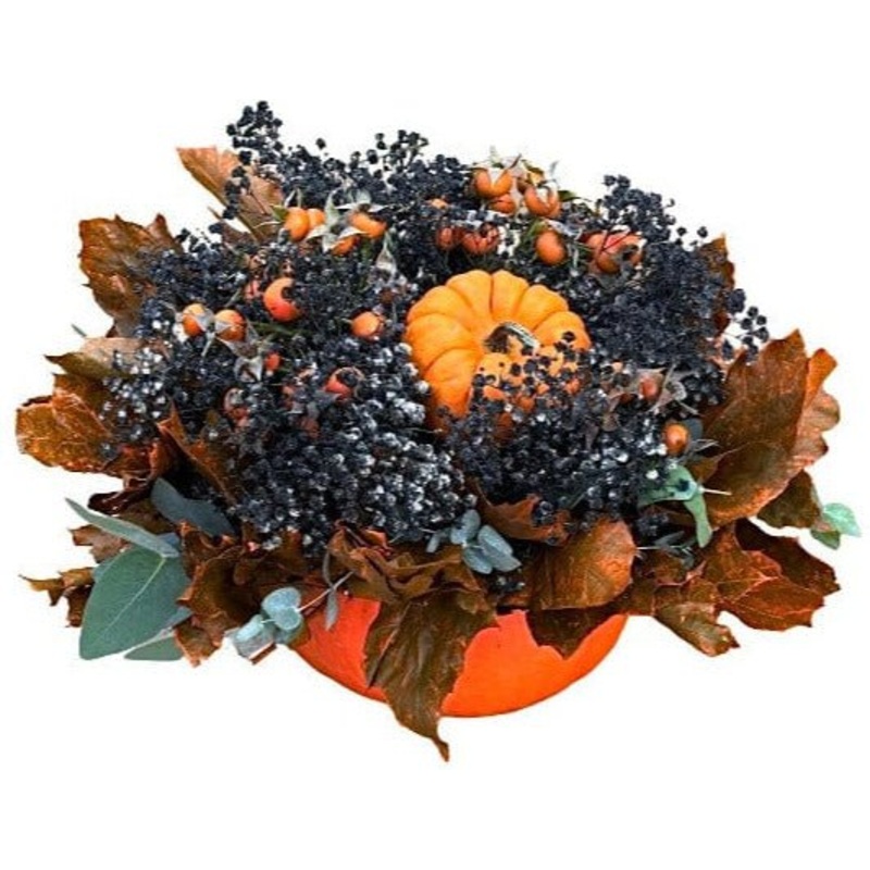 Halloween Black Baby’s Breath with Pumpkins