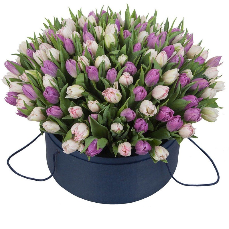 Light Pink and Purple Double Tulips Box