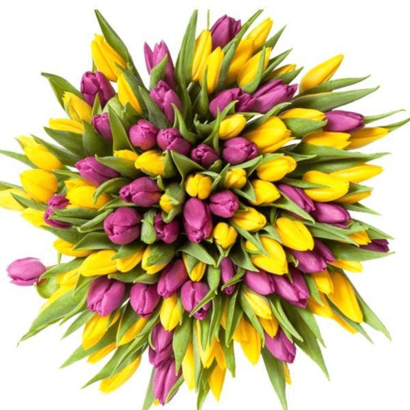 Purple & Yellow Tulips Bouquet