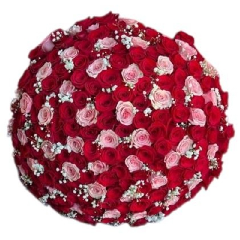 Red and Pink Roses with Gypsophila Bouquet