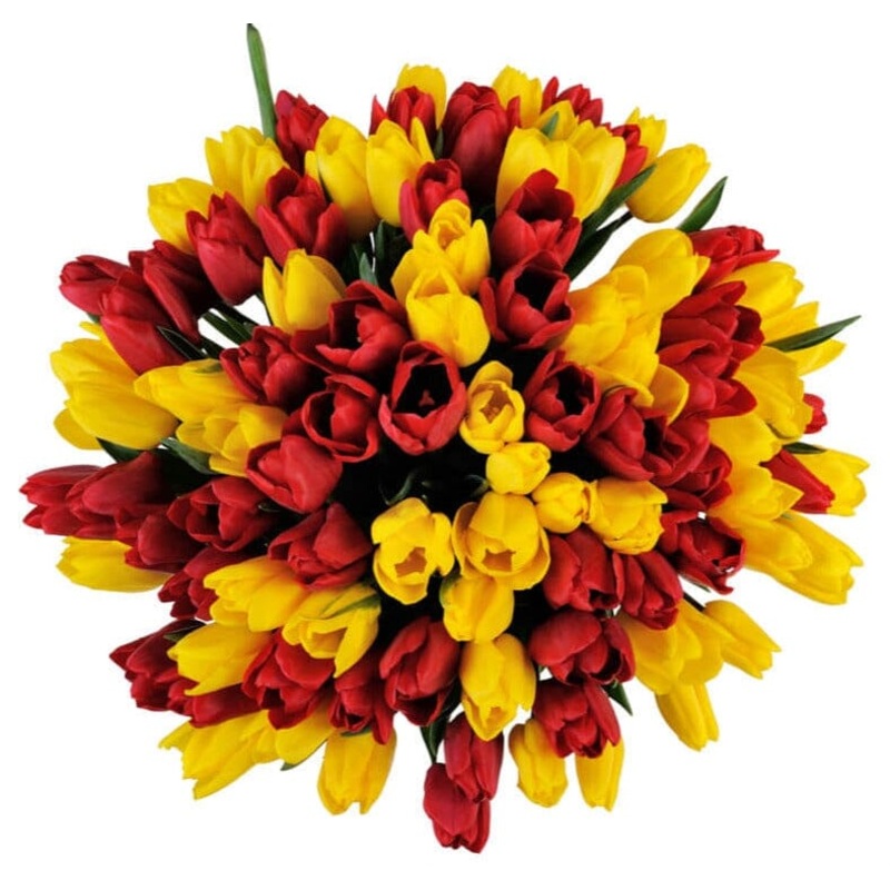 Red & Yellow Tulips Bouquet-Extra Small (20 stems) & Small (25 stems) & Regular (30 stems) & Medium (35 stems) & Large (40 stems) & Extra Large (50 tems) & Luxury (70 stems) & Glamour (90 stems) & Exclusive Glamour (100 stems) & Premium (120 stems) & Prem