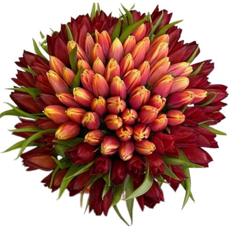 Tulips Nest Bouquet-Large (40 stems) & Extra Large (50 stems) & Luxury (60 stems) & Glamour (70 stems) & Exclusive Glamour (80 stems) & Premium (100 stems) & Premium Extra (120 stems) & Posh (150 stems)