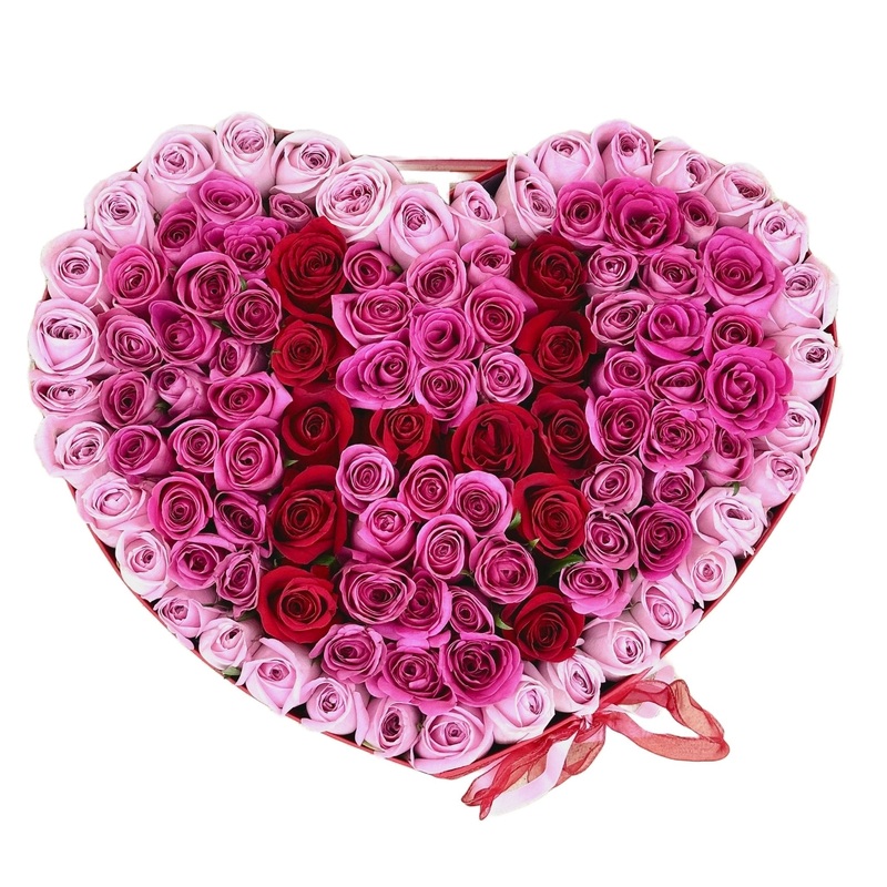 Two Pink Shades and Red Roses Initial in a Box