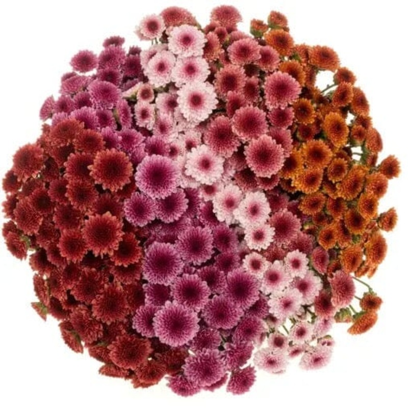 A Bouquet In the Autumn Color Palette