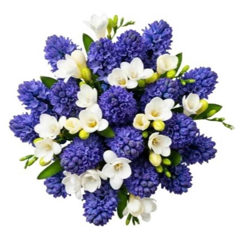 Blue Hyacinth and Freesias Bouquet