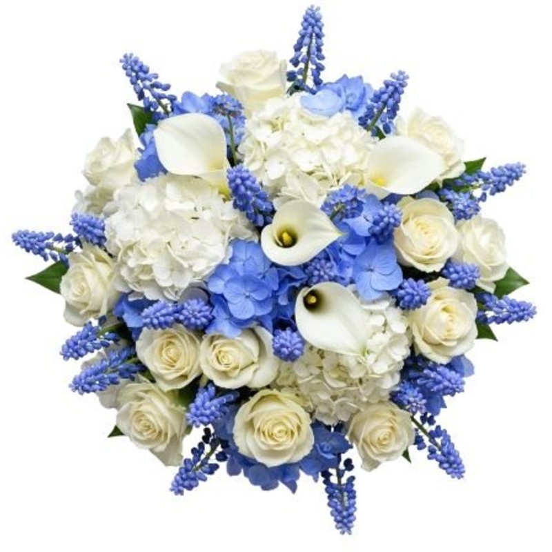 Bouquet of Blue on White Blooms
