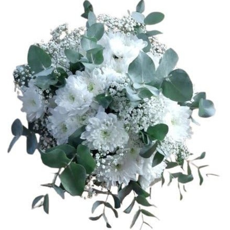Bouquet of Chrysanthemum with Gypsophilum and Ecualiptus