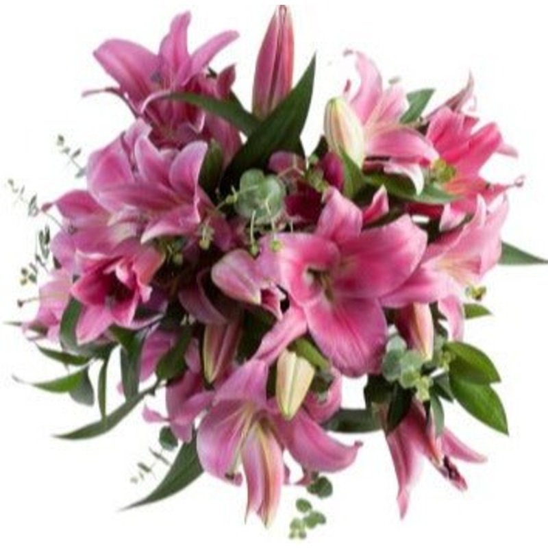 Bouquet of Luxury Pink Lily with Eucalyptus