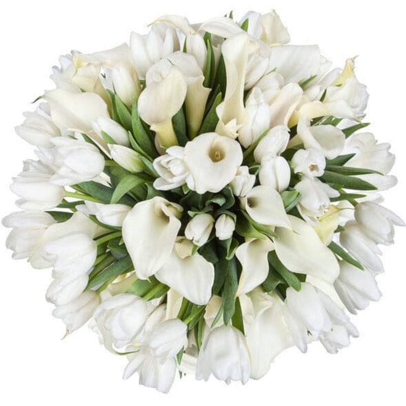Bouquet of White Tulips and Calla Lily