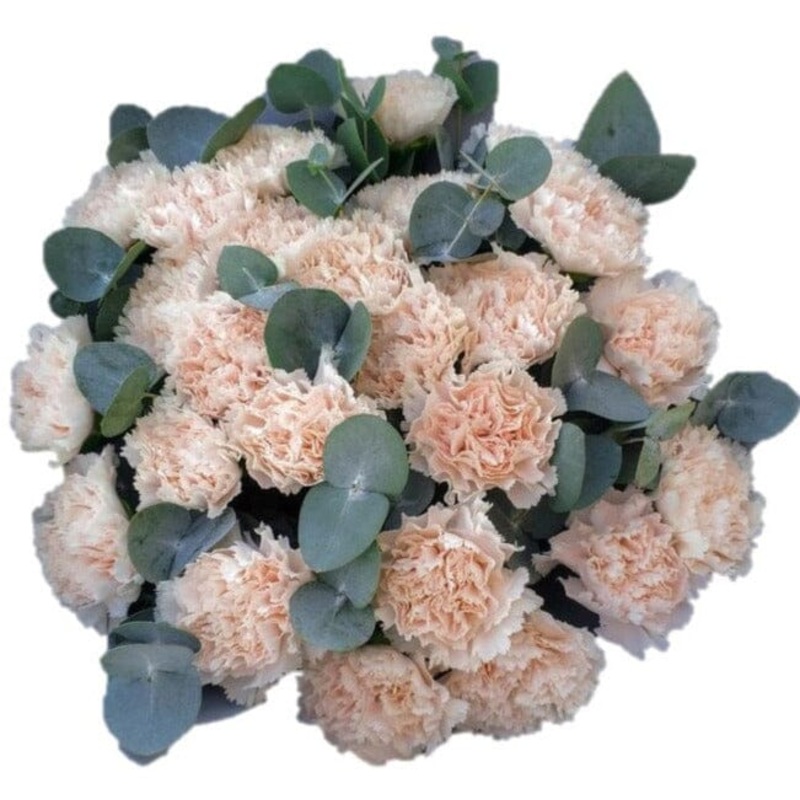 Carnations Bouquet with Eucalyptus